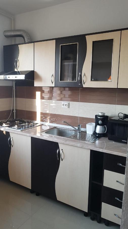 Apartament Teo Caransebeş Dış mekan fotoğraf